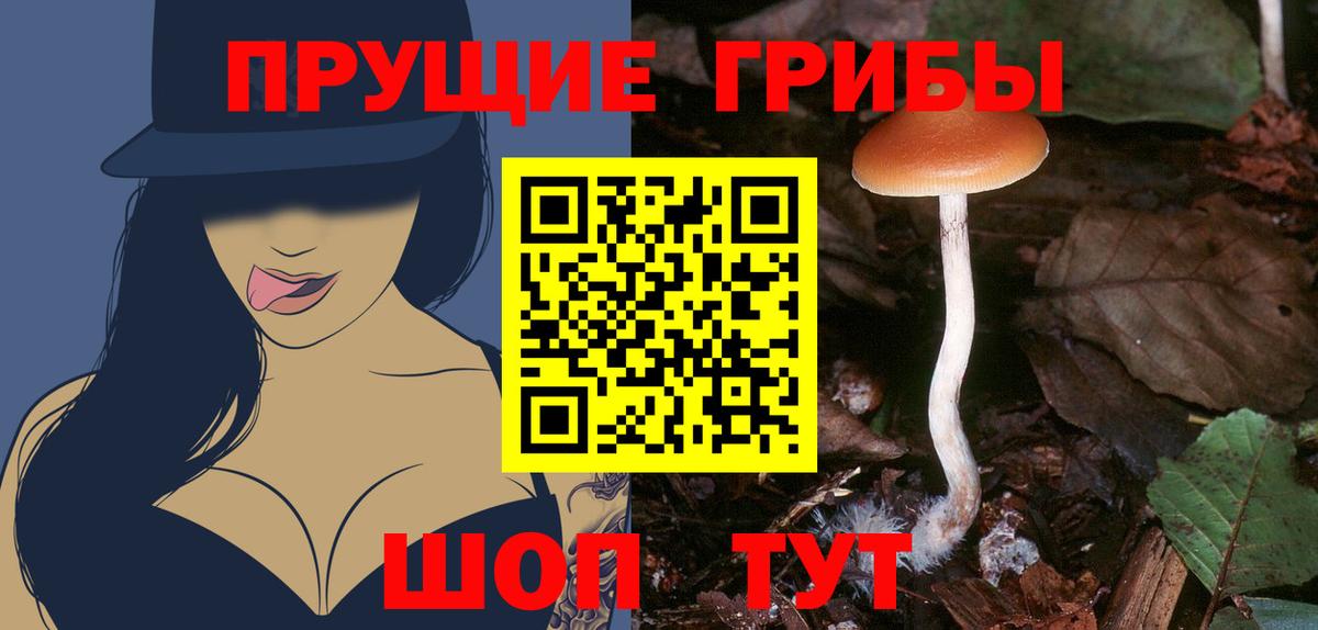 Галлюциногенные грибы GOLDEN TEACHER  Галлюциногенные грибы MAGIC MUSHROOMS  Сальск  Вход с VPN 