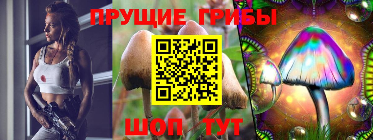 Псилоцибиновые грибы MAGIC MUSHROOMS Сальск